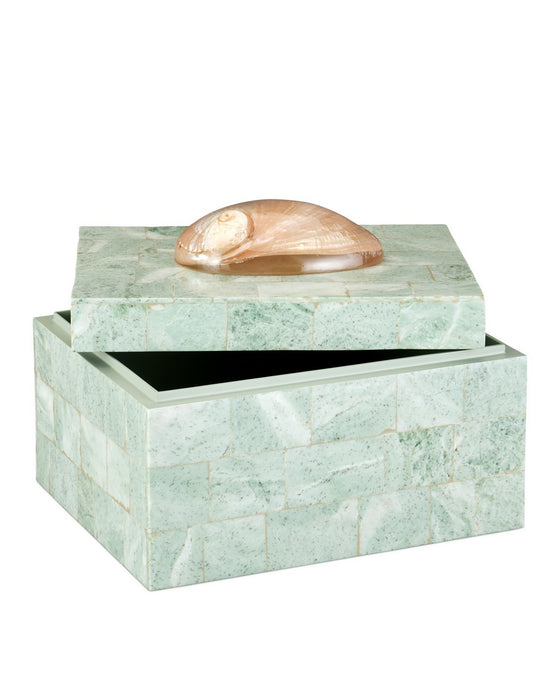 Currey and Company - 1200-1025 - Box - Fiona - Natural