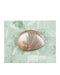Currey and Company - 1200-1025 - Box - Fiona - Natural