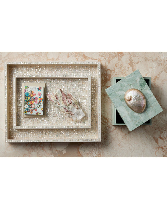 Currey and Company - 1200-1025 - Box - Fiona - Natural