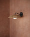 Currey and Company - 5500-0059 - One Light Wall Sconce - Barbary - Natural/Black/Frosted White