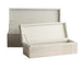 Arteriors - ARI23 - Boxes, Set of 2 - Kamira - Whitewash