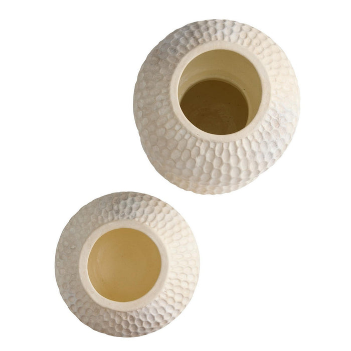 Arteriors - AVS13 - Vases, Set of 2 - Kayli - Egg Shell