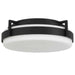 Alteck - AFM0086-5CCT-W-BK - LED Flush Mount - Ted - Sand black