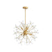 Golden - 4502-24 GLD - Six Light Pendant - Dandelion - Matte Gold