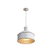 Golden - 8801-M1L AGV-GV - One Light Mini Pendant - Tinsmith - Aged Galvanized Steel