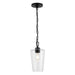 Progress Lighting - P500506-031 - One Light Pendant - Celino - Black