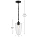Progress Lighting - P500506-031 - One Light Pendant - Celino - Black