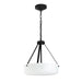 Progress Lighting - P500507-031 - Two Light Convertible Pendant - Lieon - Black