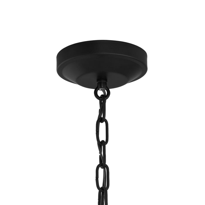 Progress Lighting - P500507-031 - Two Light Convertible Pendant - Lieon - Black
