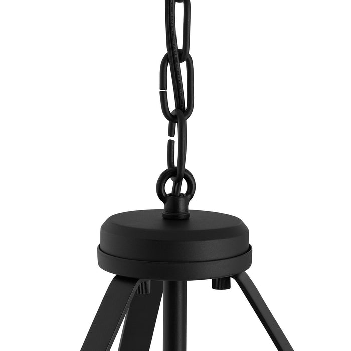 Progress Lighting - P500507-031 - Two Light Convertible Pendant - Lieon - Black