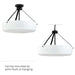 Progress Lighting - P500508-031 - Three Light Convertible Pendant - Lieon - Black