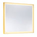 Savoy House - 2-1233-30X36 - LED Mirror - Paulding - Gold