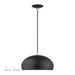Livex Lighting - 51515-04 - One Light Pendant - Domma - Black w/Brushed Nickel
