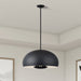 Livex Lighting - 51518-04 - Four Light Pendant - Domma - Black