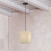 Livex Lighting - 52274-07 - One Light Pendant - Summit - Bronze