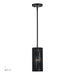 Livex Lighting - 60241-04 - One Light Mini Pendant - Acordia - Black