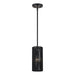 Livex Lighting - 60241-04 - One Light Mini Pendant - Acordia - Black