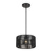 Livex Lighting - 60243-04 - One Light Pendant - Acordia - Black