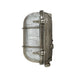 Mullan Lighting - MLWL326ANTSLV - One Light Bulkhead - Ruben - Antique Silver