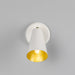 Mullan Lighting - MLWL332PCWTE - One Light Wall Sconce - Cashel - White / Brass Inner