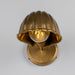 Mullan Lighting - MLWL517ANTBRS - One Light Wall Sconce - Shell - Adjustable