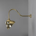 Mullan Lighting - MPL011POLBRS - One Light Outdoor Sign Light - Novo - Polished Brass
