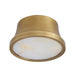 Arteriors - DFC23 - LED Flush Mount - Louisa - Antique Brass