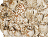 Currey and Company - 1200-1052 - Vase - Tidala - Milky White