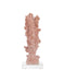 Currey and Company - 1200-1083 - Coral - Coral - Coral/Clear