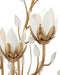 Currey and Company - 5000-0299 - Ten Light Wall Sconce - Star Magnolia - Antique Brass/White/Clear