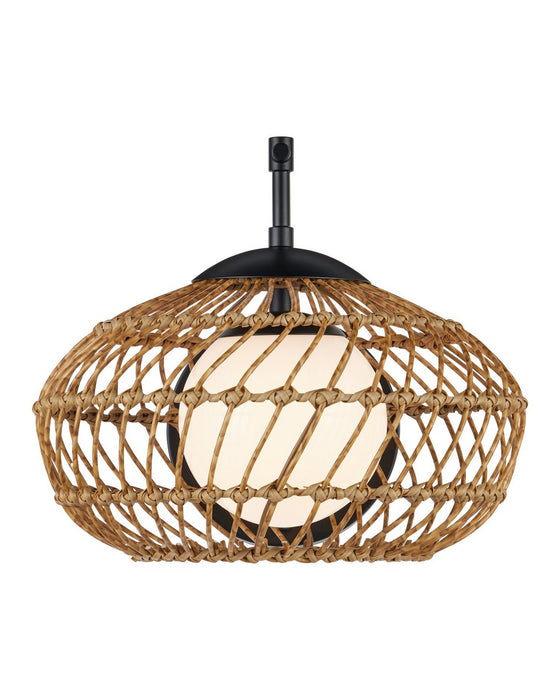 Currey and Company - 5500-0060 - One Light Wall Sconce - Carriage - Natural/Black/Frosted White