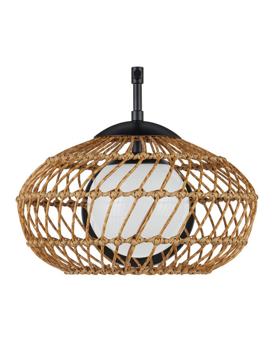 Currey and Company - 5500-0060 - One Light Wall Sconce - Carriage - Natural/Black/Frosted White