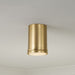 Capital Lighting - 259411AD - LED Flush Mount - Griffin - Aged Brass