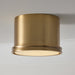 Capital Lighting - 259412AD - One Light Flush Mount - Griffin - Aged Brass