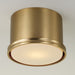 Capital Lighting - 259412AD - One Light Flush Mount - Griffin - Aged Brass