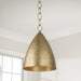 Capital Lighting - 358511FT - LED Pendant - Francesca - Feathered Brass