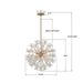 Crystorama - ADL-506-AG-CL - Six Light Chandelier - Adley - Aged Brass