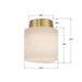 Crystorama - AME-400-AG - One Light Semi Flush Mount - Acme - Aged Brass