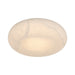 Crystorama - AME-405-AG - LED Flush Mount - Acme - Aged Brass