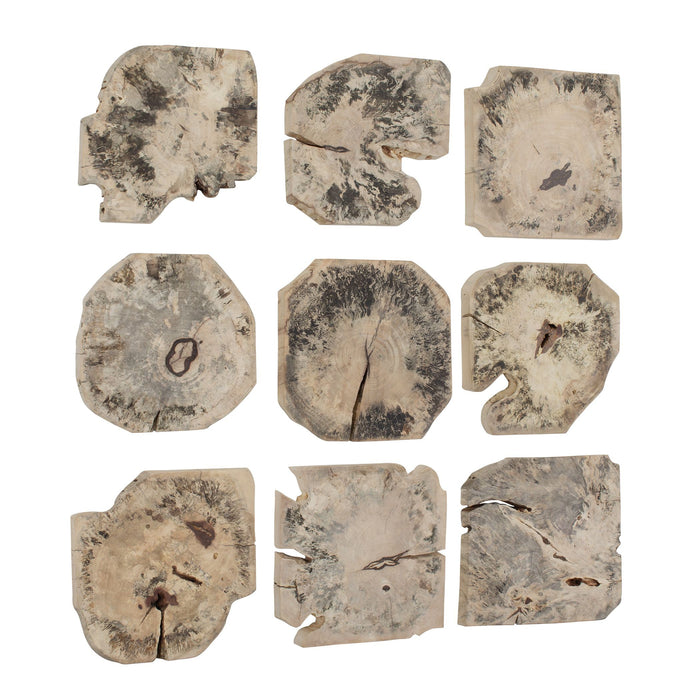 Uttermost - 04398 - Wall Decor Set/9 - Bahati - Light Bleached