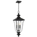 Quoizel - FARL1910MBK - Three Light Outdoor Hanging Lantern - Farley - Matte Black