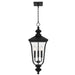Quoizel - FARL1910MBK - Three Light Outdoor Hanging Lantern - Farley - Matte Black