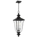 Quoizel - FARL1910MBK - Three Light Outdoor Hanging Lantern - Farley - Matte Black