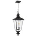 Quoizel - FARL1910MBK - Three Light Outdoor Hanging Lantern - Farley - Matte Black