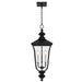 Quoizel - FARL1910MBK - Three Light Outdoor Hanging Lantern - Farley - Matte Black