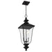 Quoizel - FARL1910MBK - Three Light Outdoor Hanging Lantern - Farley - Matte Black
