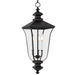 Quoizel - FARL1910MBK - Three Light Outdoor Hanging Lantern - Farley - Matte Black