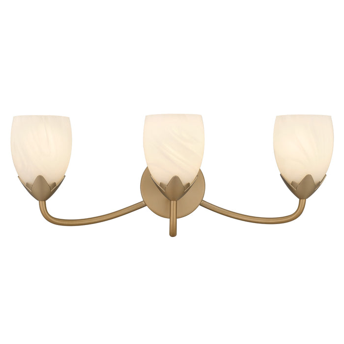 Quoizel - JACO8624BGD - Three Light Vanity - Jacobs - Bronze Gold