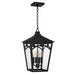 Quoizel - JAX1910WT - Four Light Outdoor Hanging Lantern - Jaxon - Western Bronze