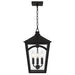 Quoizel - JAX1910WT - Four Light Outdoor Hanging Lantern - Jaxon - Western Bronze